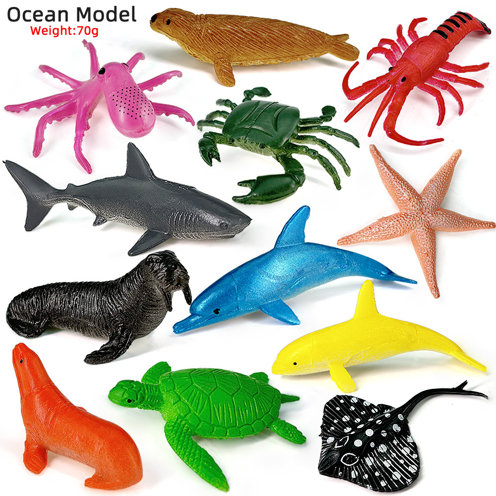 Kids Education Kit - 12 pçs oceano vida marinha conjunto