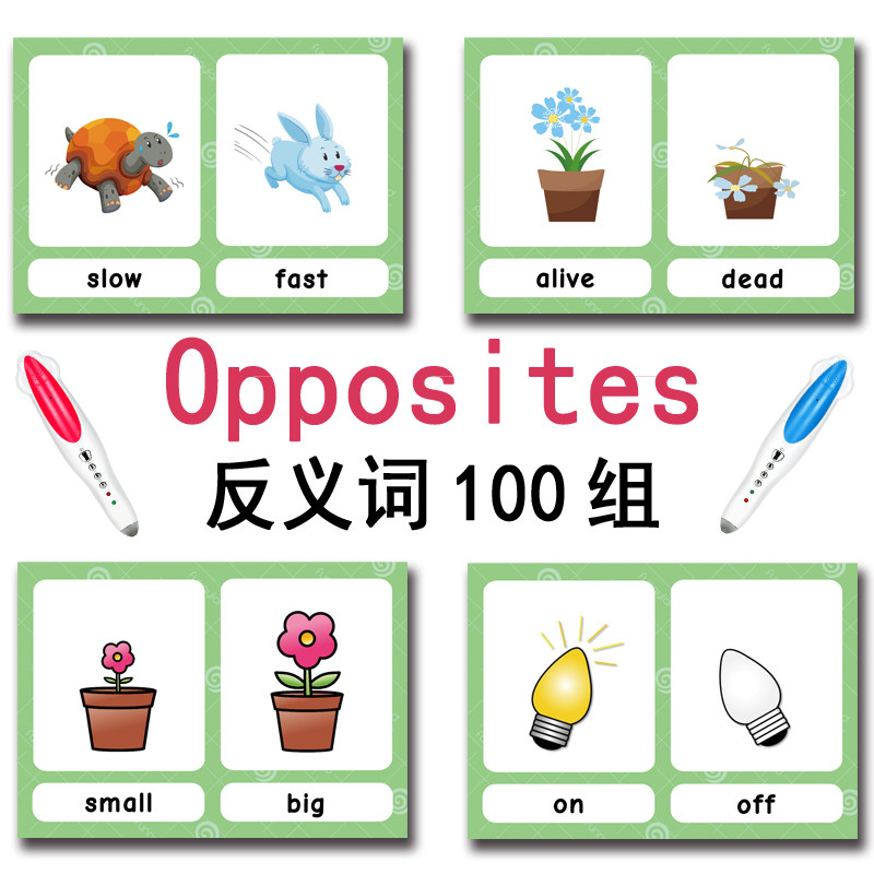 100 Cartões de Vocabulário em  - English Kids Education avaliação e preço